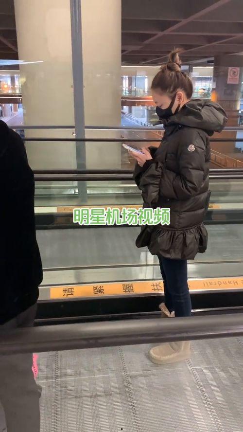 路人视角吃瓜群众,揭秘娱乐圈幕后真相