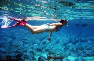 吃瓜群众潜水视频大全,一场视觉盛宴的深度探索