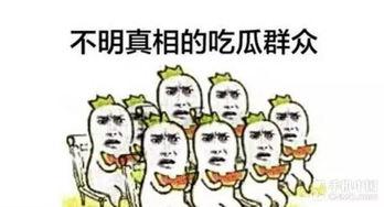 标准吃瓜群众,揭秘网络热议背后的真相
