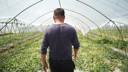 台湾岛吃瓜群众图片视频,捕捉热点瞬间，笑料百出