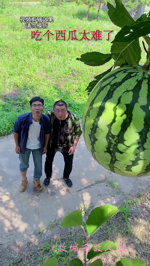 当一个吃瓜群众的好处,旁观者的乐趣与智慧