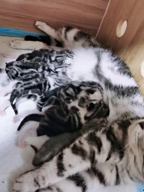 吃瓜群众笑死了,吃瓜群众笑翻天的欢乐瞬间