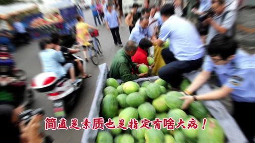 丽江吃瓜的群众,吃瓜群众的热议焦点