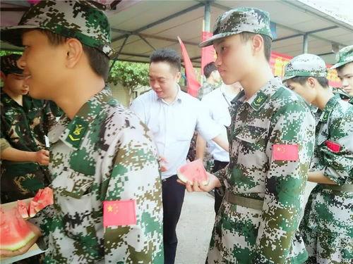 军坡吃瓜群众事迹简介