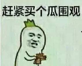 出现一些舆论吃瓜群众,揭秘网络围观背后的心理与现象