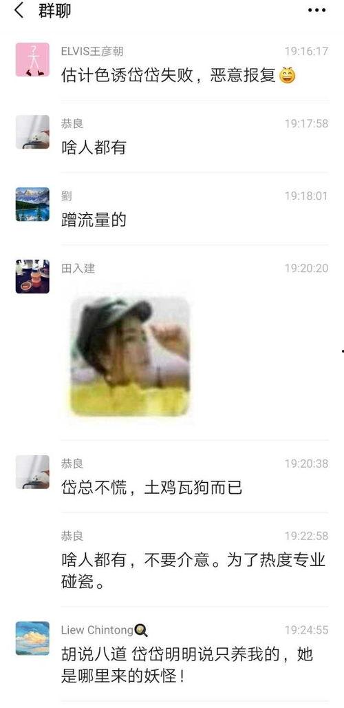 岱岱吃瓜群众访谈,吃瓜群众的视角与心声