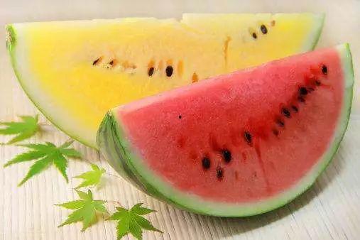 吃瓜群众高档喊法,高端社交圈的新宠儿