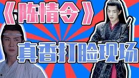 陈情令大型吃瓜群众